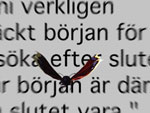 Slutet (The End)